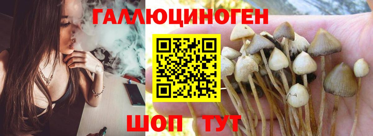 Псилоцибиновые грибы Cubensis  Галлюциногенные грибы Psilocybe  Вольск  наркотики  Вход с VPN 